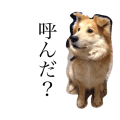 [LINEスタンプ] ぼくダンク