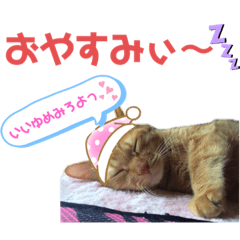 [LINEスタンプ] 虎之助の日常withエルモ1