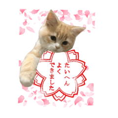 [LINEスタンプ] うちのあにまるず2！