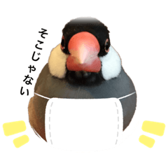 [LINEスタンプ] 桜文鳥ごま丸 スタンプ コロナ自粛ver.