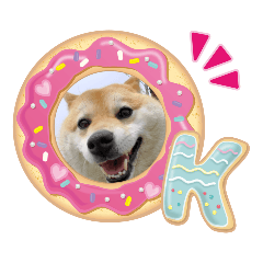 [LINEスタンプ] のんびり柴犬スタンプ