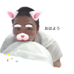 [LINEスタンプ] しまじぃ君パラダイス