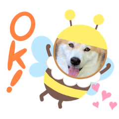 [LINEスタンプ] 保護わん ケイト郁舞