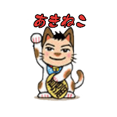 [LINEスタンプ] ねこの手(あきねこ)