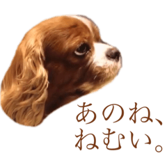[LINEスタンプ] ローラたん。