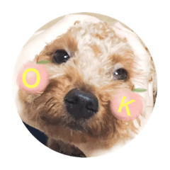 [LINEスタンプ] 家族で使えるたおのスタンプ