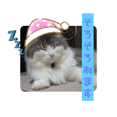 [LINEスタンプ] にゃんこの癒し可愛いつぶやきスタンプ