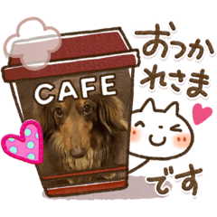 [LINEスタンプ] 我が家の小悪魔達
