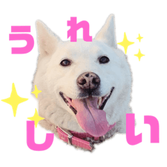 [LINEスタンプ] 白のダニエル君