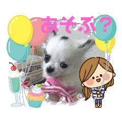 [LINEスタンプ] ちわわの心菜（関西弁）