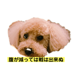 [LINEスタンプ] ラブ♂