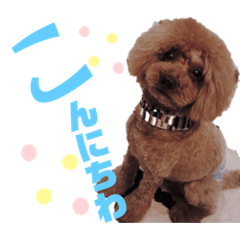 [LINEスタンプ] ここばに❤
