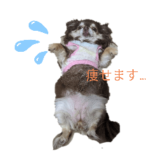 [LINEスタンプ] くるみとこのみ。
