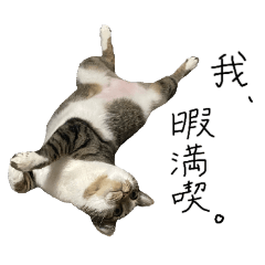 [LINEスタンプ] 我が家のわんにゃん日常会話