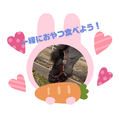 [LINEスタンプ] 道産子ラッシュのつぶやき！