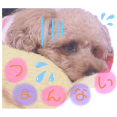 [LINEスタンプ] そらワン