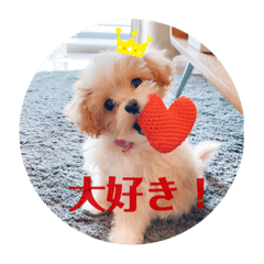 [LINEスタンプ] ポメプーぴのすたんぷ