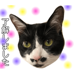 [LINEスタンプ] テンくんとカイくん