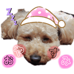 [LINEスタンプ] ♡アイドルそらくん♡