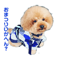 [LINEスタンプ] 関西弁で話すトイプードル3