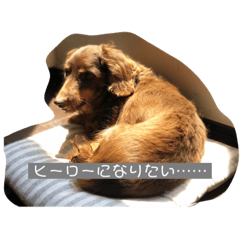 [LINEスタンプ] 可愛い私の家族