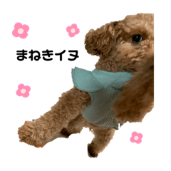[LINEスタンプ] なーきちの日常スタンプ