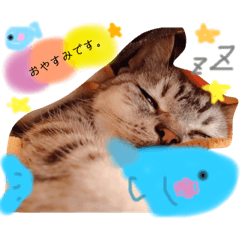 [LINEスタンプ] あんここあ