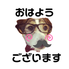 [LINEスタンプ] ジャックラッセルテリア・ビネガー
