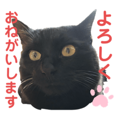 [LINEスタンプ] mm_20200518212346