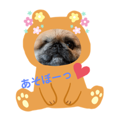 [LINEスタンプ] モカタラ家よく使うあいさつ編p