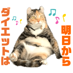[LINEスタンプ] はちわれ銀次とみみちゃん