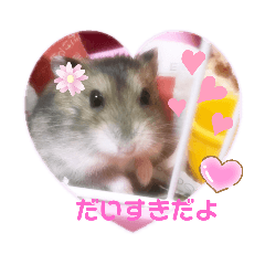 [LINEスタンプ] ハムスター小梅ちゃんの癒し可愛いスタンプ