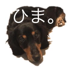 [LINEスタンプ] 会話でのスタンプ