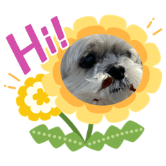 [LINEスタンプ] ちずたる。