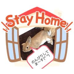 [LINEスタンプ] 岸本さん家のちっぷさん♪