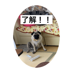 [LINEスタンプ] ハッチ君スタンプ