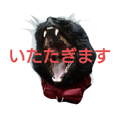 [LINEスタンプ] おむとおびぃ