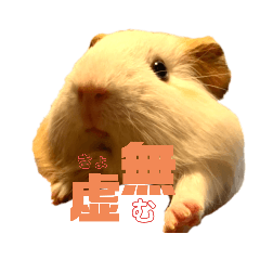 [LINEスタンプ] もっちりみっちゅ