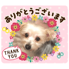 [LINEスタンプ] ユイちゃんの日常語