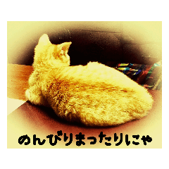 [LINEスタンプ] 道頓堀のにゃんこ