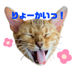 [LINEスタンプ] ベンガルのロロちゃん