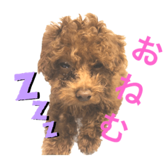 [LINEスタンプ] こたちゃん0129