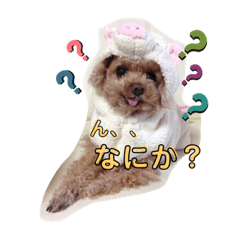 [LINEスタンプ] 我が家の次女♡♥︎♡