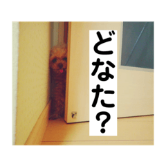 [LINEスタンプ] 我が家の次女♡♥︎♡Part2
