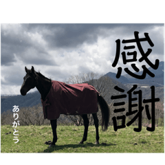 [LINEスタンプ] フレブルぼすこと牧場の仲間達