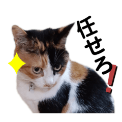 [LINEスタンプ] 渚です