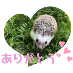[LINEスタンプ] 雲丹丸とMilly