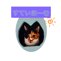 [LINEスタンプ] にゃんこ×3=ぴョコ
