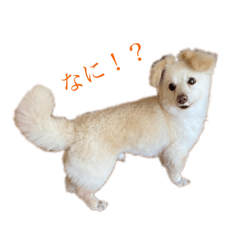 [LINEスタンプ] まる ときどき だい 1