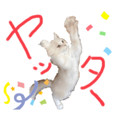 [LINEスタンプ] ふつうに